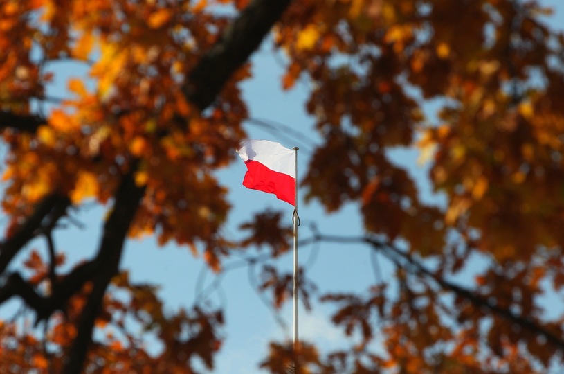 Flaka Polski na tle jesiennych liści
