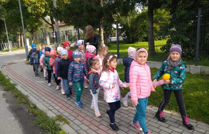 Wycieczka do kina ZORZA
