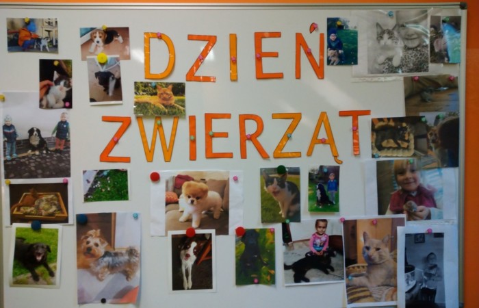 Światowy Dzień Zwierząt