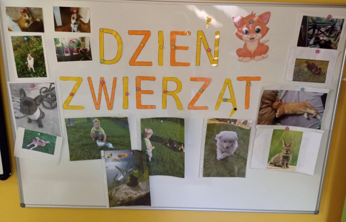 Światowy Dzień Zwierząt