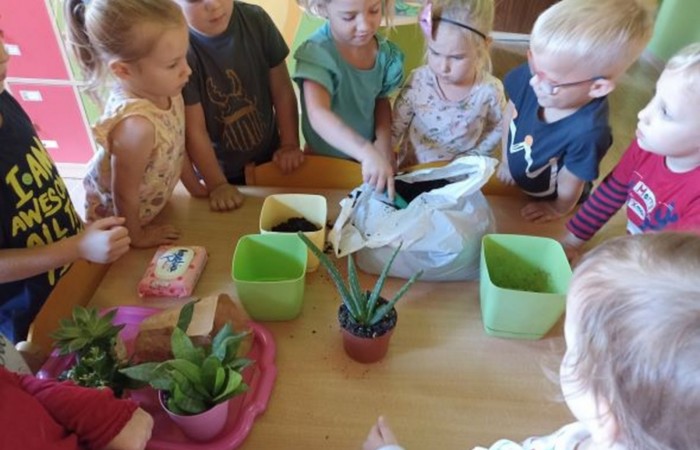 Jesień u Smerfów