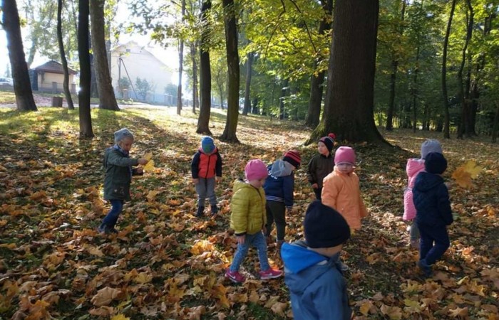 Dzień Drzewa