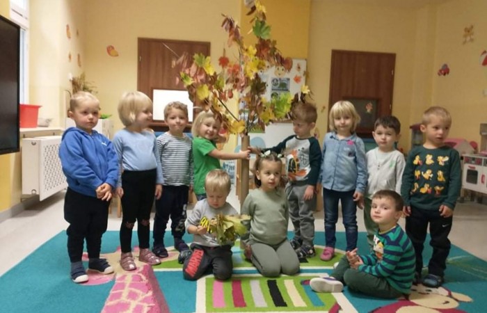 Dzień Drzewa