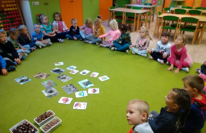 Jesienny las, jego roślinność i mieszkańcy