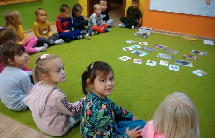 Jesienny las, jego roślinność i mieszkańcy
