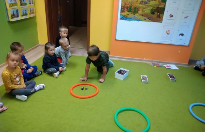 Jesienny las, jego roślinność i mieszkańcy