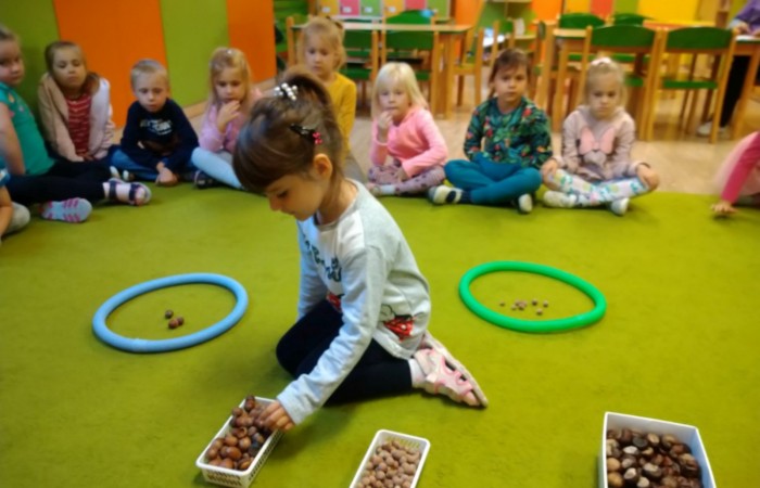 Jesienny las, jego roślinność i mieszkańcy