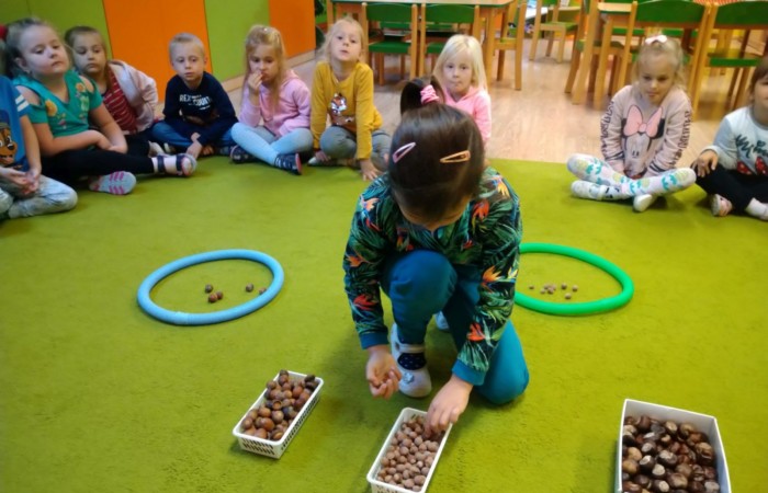 Jesienny las, jego roślinność i mieszkańcy