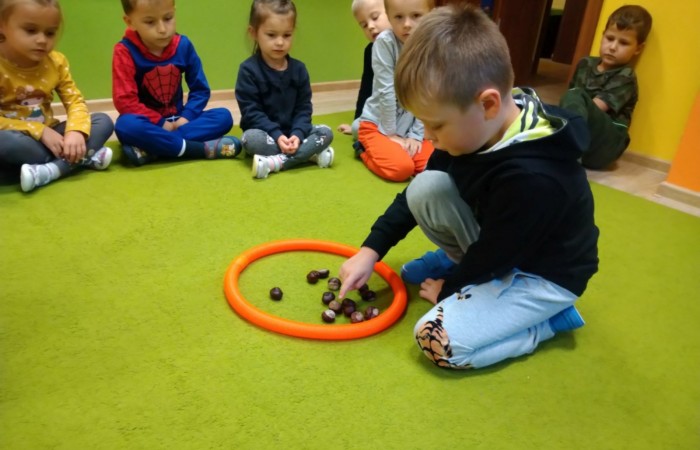Jesienny las, jego roślinność i mieszkańcy