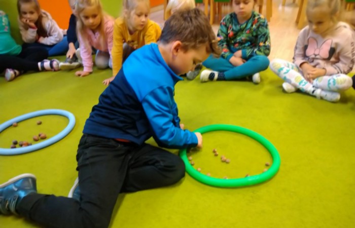 Jesienny las, jego roślinność i mieszkańcy