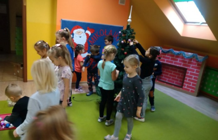 Tygrysy oczekują na św. Mikołaja