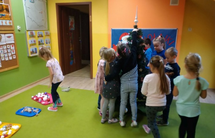 Tygrysy oczekują na św. Mikołaja