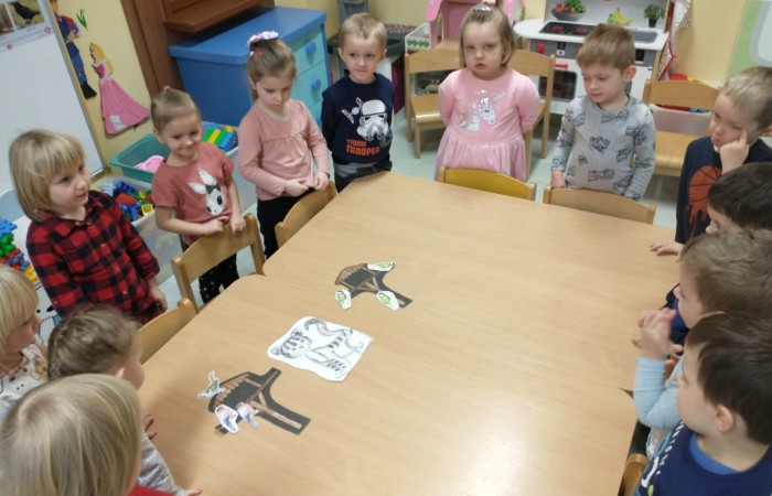 Ptaki zimą