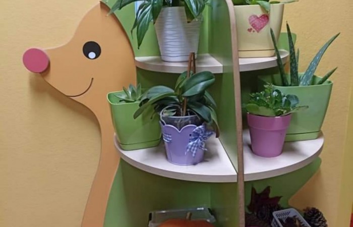 Ekokulturalne przedszkole