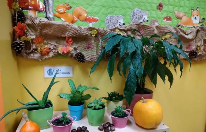 Ekokulturalne przedszkole