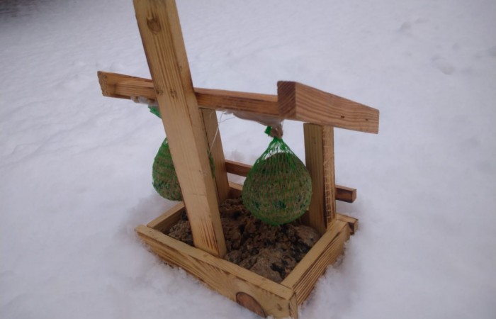 Ekokulturalne przedszkole