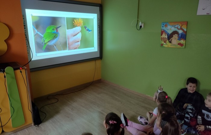 Międzynarodowy Dzień Ptaków