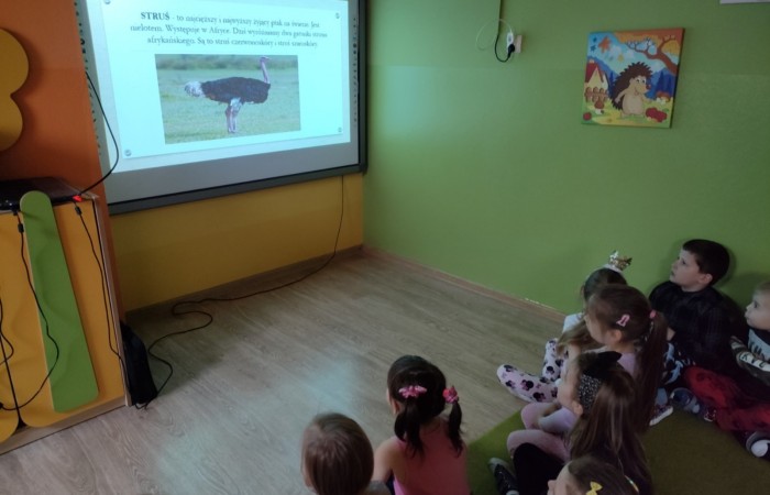 Międzynarodowy Dzień Ptaków