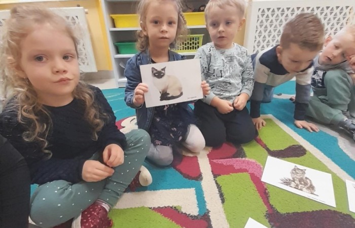 Dzień Kota - grupa Słoneczka