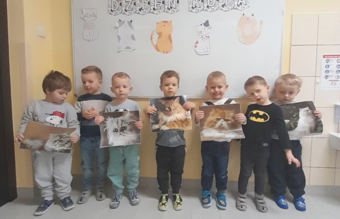 Dzień Kota - grupa Słoneczka