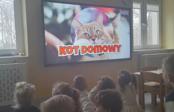 Dzień Kota - grupa Słoneczka