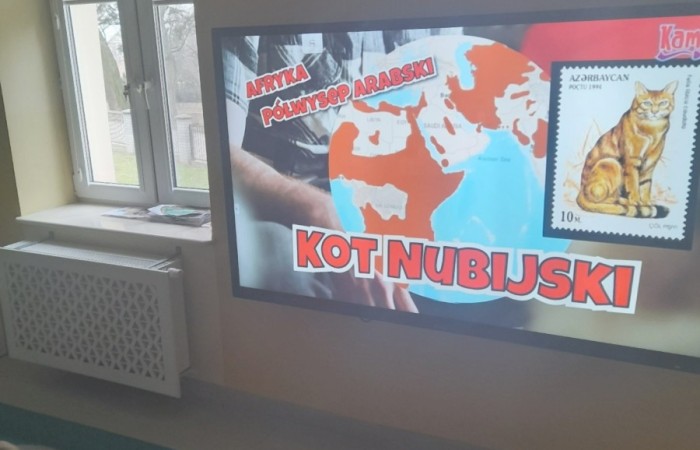 Dzień Kota - grupa Słoneczka