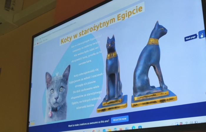 Dzień Kota - grupa Tygrysy
