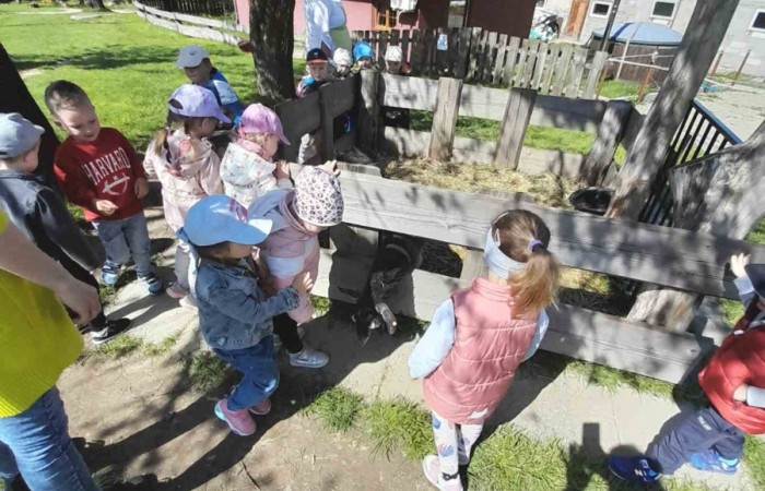 Wycieczka do „Zagrody Szmer” - grupa Słoneczka