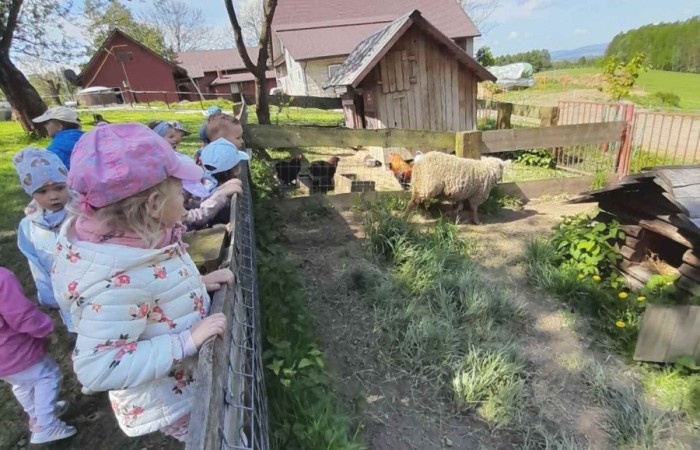 Wycieczka do „Zagrody Szmer” - grupa Słoneczka