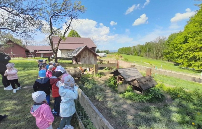 Wycieczka do „Zagrody Szmer” - grupa Słoneczka