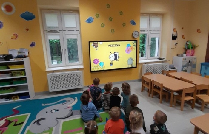 Światowy Dzień Pszczoły