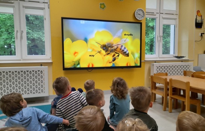 Światowy Dzień Pszczoły