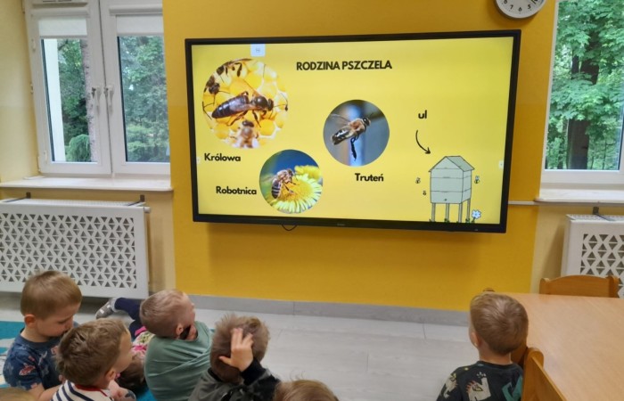 Światowy Dzień Pszczoły