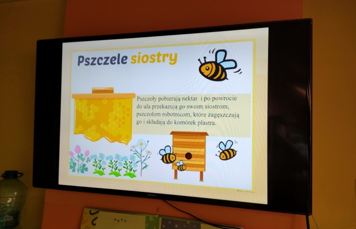 Światowy Dzień Pszczoły