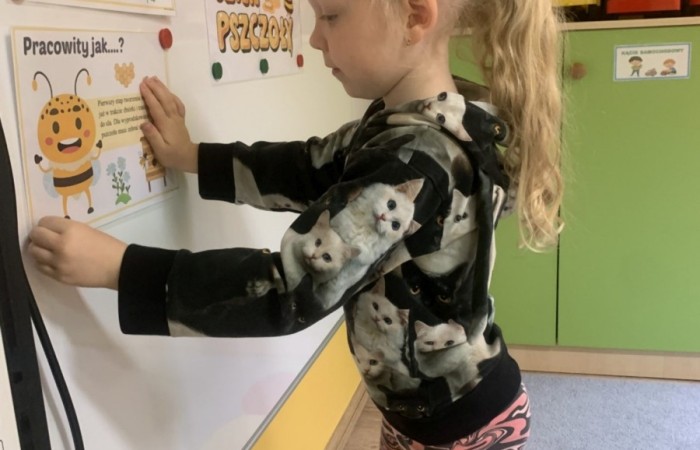 Światowy Dzień Pszczoły