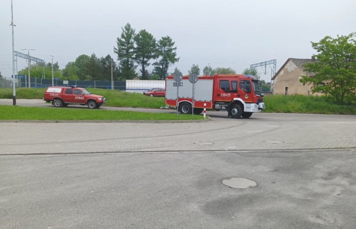 Spotkanie z Ochotniczą Strażą Pożarną w Trzcianie