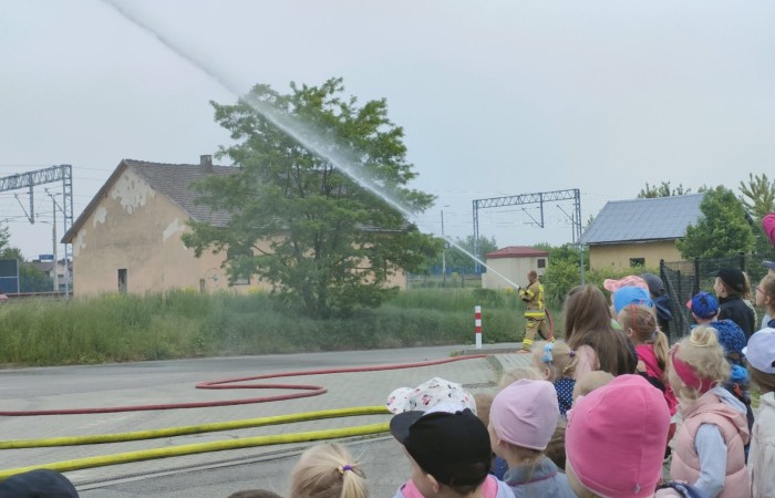 Spotkanie z Ochotniczą Strażą Pożarną w Trzcianie