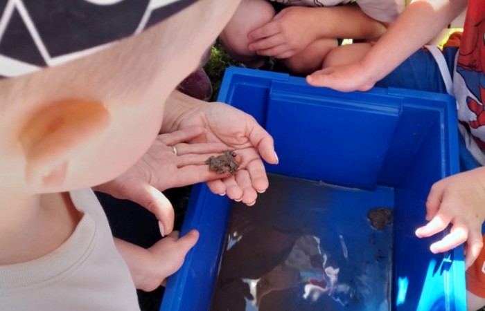 Zajęcia naukowo-przyrodnicze - grupa Słoneczka