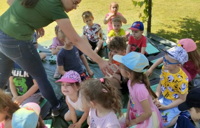 Zajęcia naukowo-przyrodnicze - grupa Tygrysy