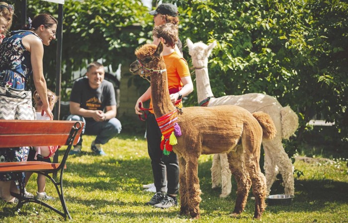 Piknik Rodzinny
