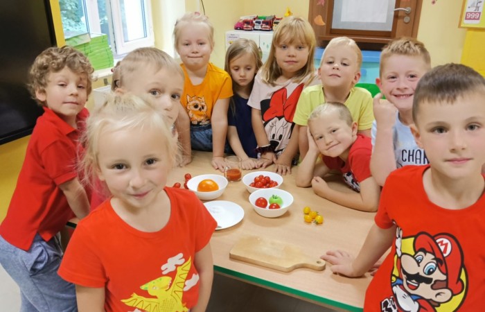 WITAMINKI – realizacja projektu promującego zdrowe nawyki żywieniowe w grupie Tygrysy