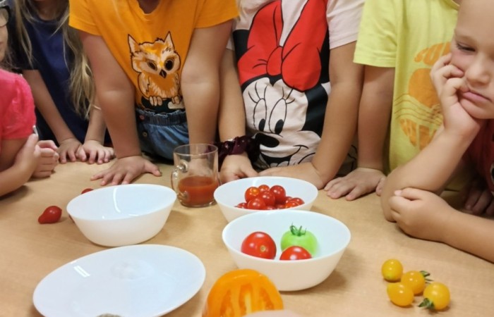 WITAMINKI – realizacja projektu promującego zdrowe nawyki żywieniowe w grupie Tygrysy