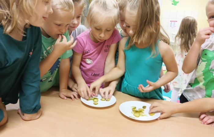 WITAMINKI – realizacja projektu promującego zdrowe nawyki żywieniowe w grupie Tygrysy