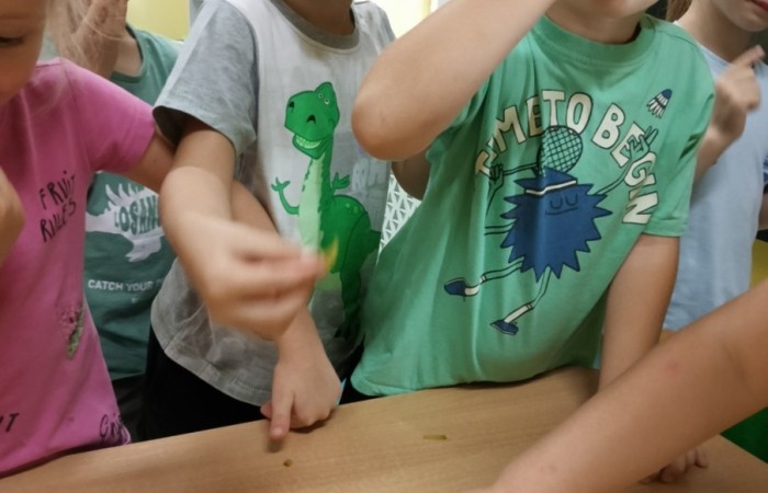 WITAMINKI – realizacja projektu promującego zdrowe nawyki żywieniowe w grupie Tygrysy