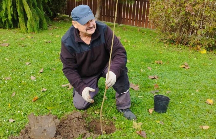 Sadzenie drzew i krzewów miododajnych