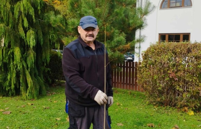 Sadzenie drzew i krzewów miododajnych