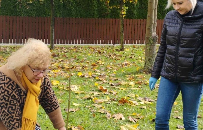 Sadzenie drzew i krzewów miododajnych