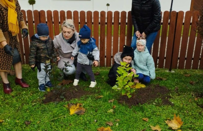 Sadzenie drzew i krzewów miododajnych