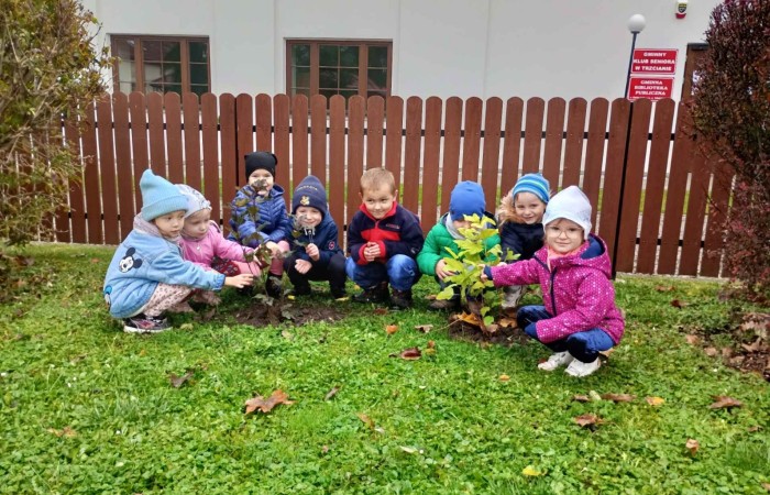 Sadzenie drzew i krzewów miododajnych