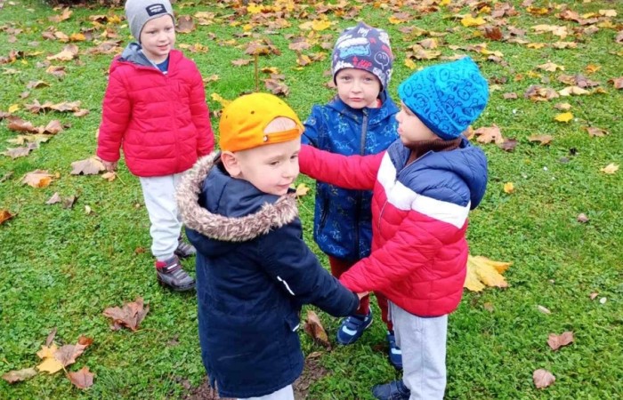 Sadzenie drzew i krzewów miododajnych